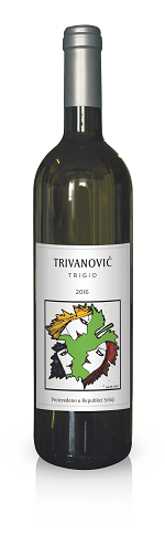 trigio_trivanovic